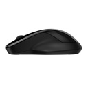 HP 250 Dual Mouse Black (6V2J7AA)